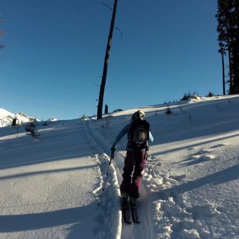 geseause skitour