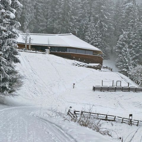 230123-skitour-seegrube-10
