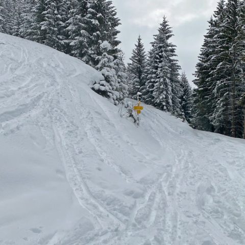 230123-skitour-seegrube-9